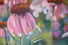 Echinacea-65x80