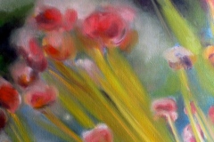 Etamines-du-Millepertuis-1