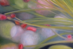 Etamines-du-Millepertuis-2