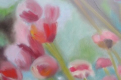 Etamines-du-Millepertuis-5