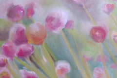 Etamines-du-Millepertuis-6