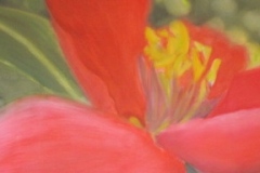 Fleur-rouge-1-150x50-2