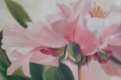 Pivoine-1-90x70