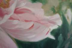 Pivoine-2-80x80