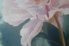 Pivoine-3-65x100