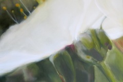 Cerisier-duo-1-50x50