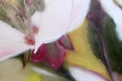 Fleurs de Ceriser 40 x 80