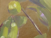 bourgeondecamelia vendue