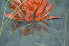 Lotus-rouge