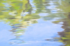 Reflets-2-81x115-Version-2